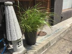 山長