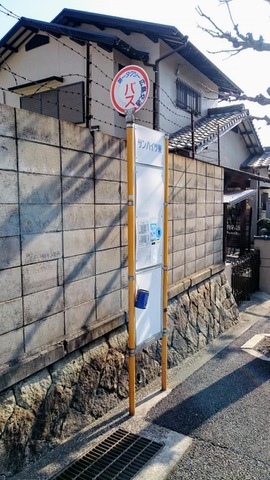 投稿写真8