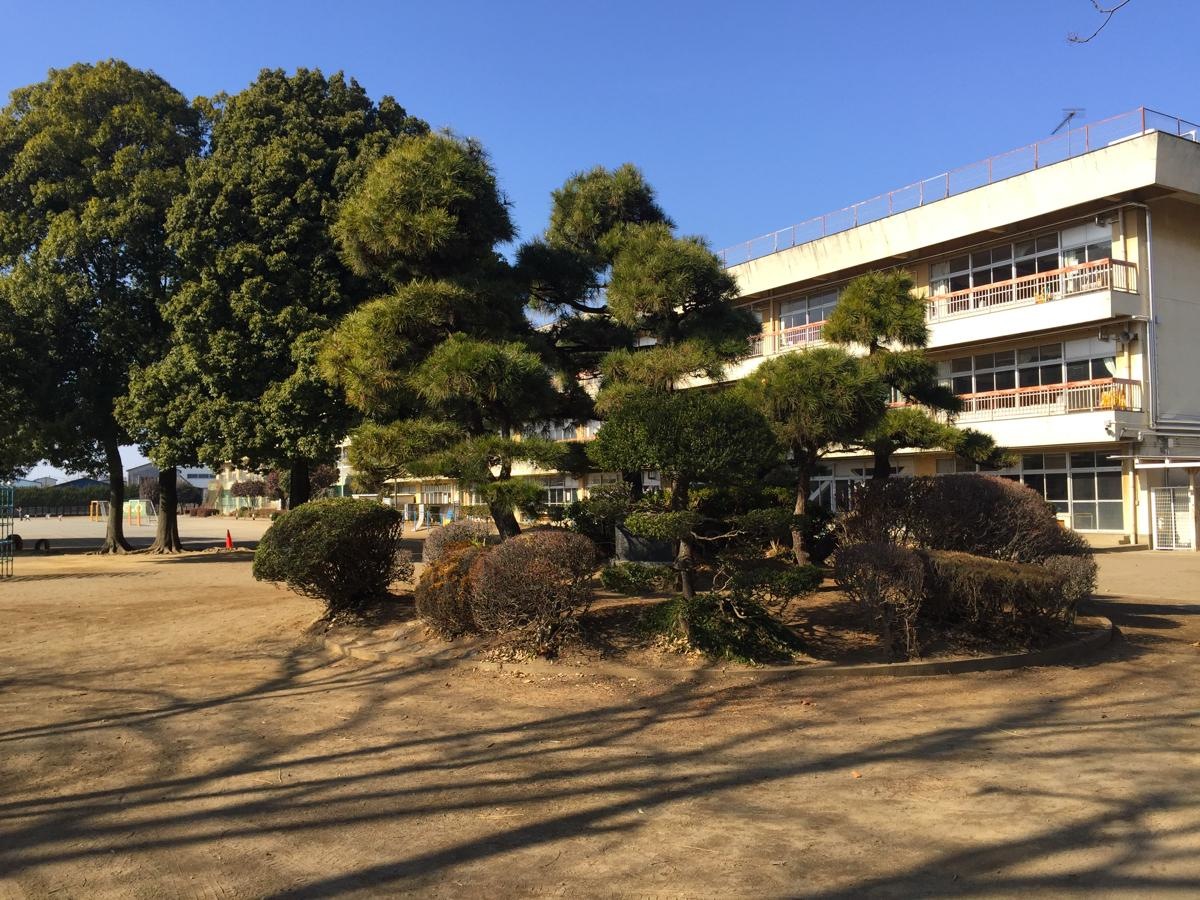 立派な松