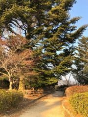 摩耶きらきら小径