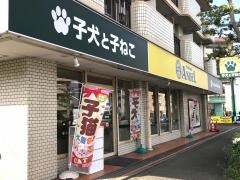 エンゼル