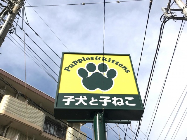 施設写真10