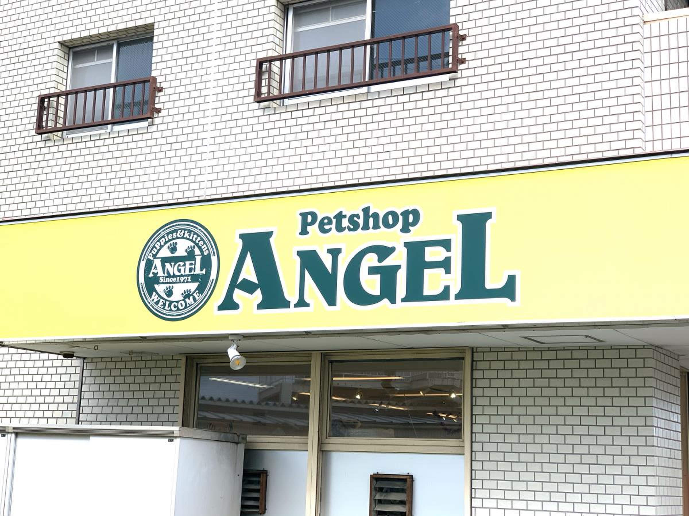 ペット ショップ エンゼル 横浜 本店
