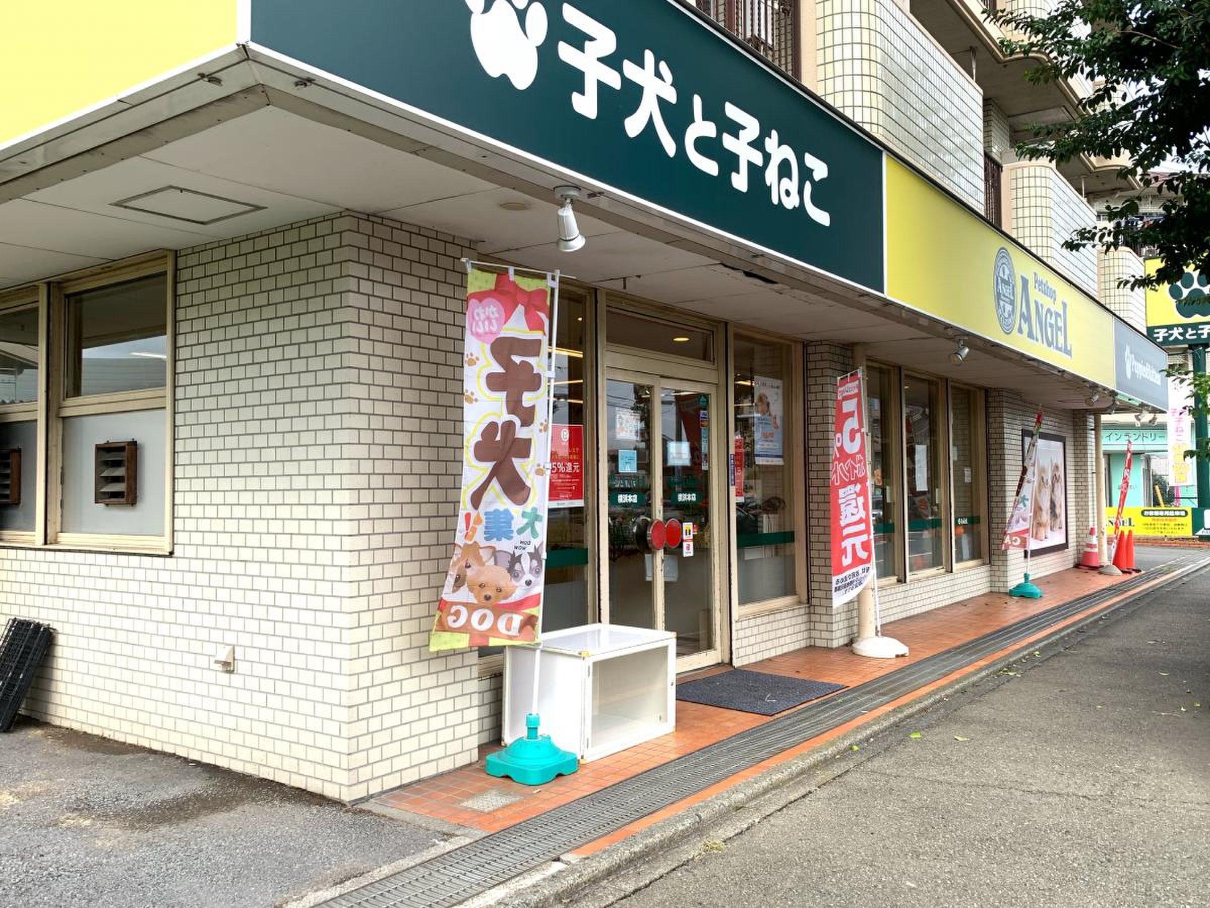 ペット ショップ エンゼル 横浜 本店