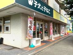 エンゼル