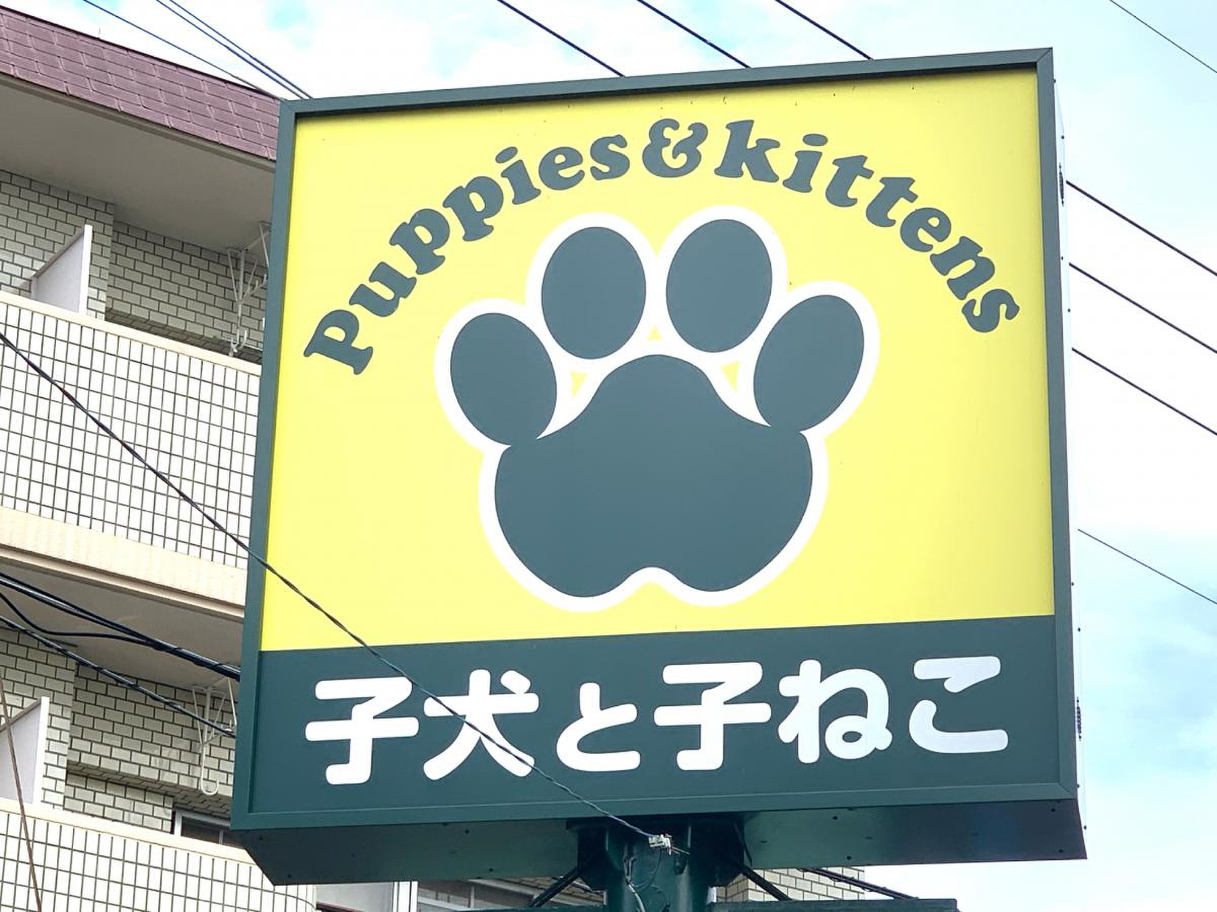 ペット ショップ エンゼル 横浜 本店