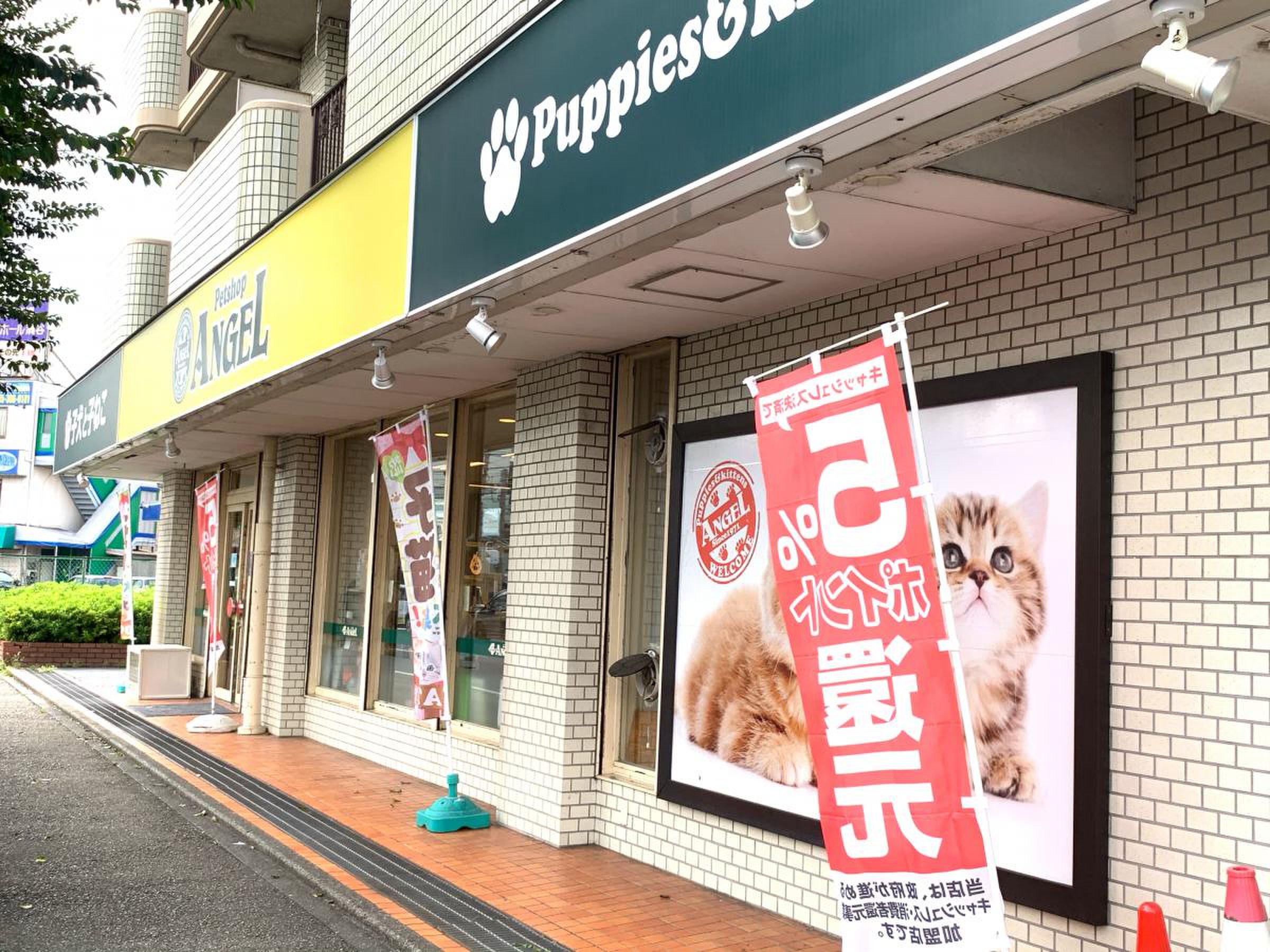 ペット ショップ エンゼル 横浜 本店