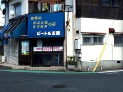 ビートル王国