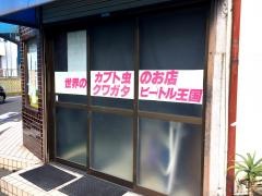 ビートル王国