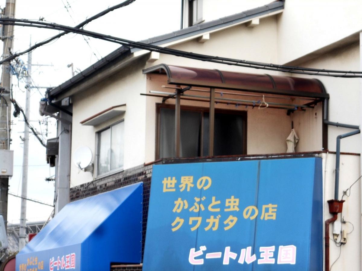 外観です。