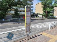 「大山小学校」バス停留所