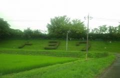 豊和小学校