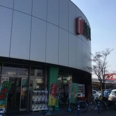 柏屋書店