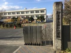 新知小学校