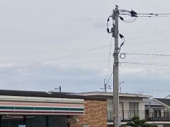セブンイレブン　久留米善導寺店