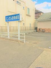 エンゼル動物病院