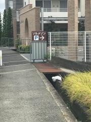 ソルメゾン