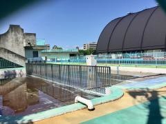 運動公園プール