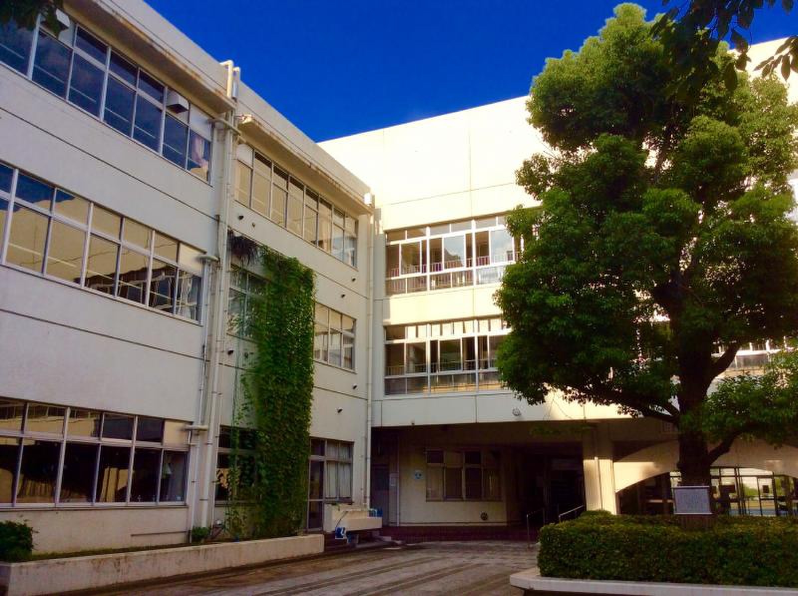 志村 第 五 中学校