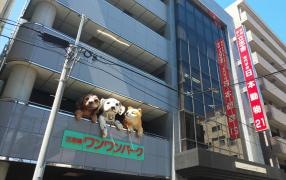 専門学校日本動物21