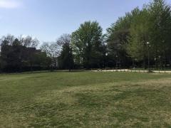 梶野公園