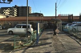 社会福祉法人真清福祉会かえで保育園