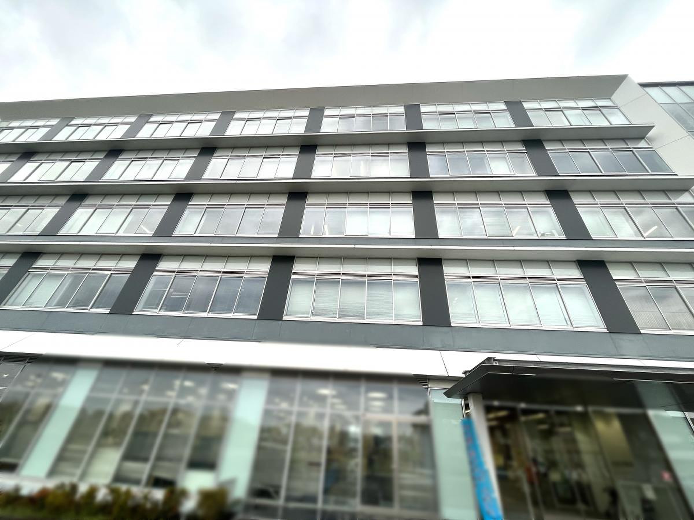 公の場での発言・インタビュー報道記録