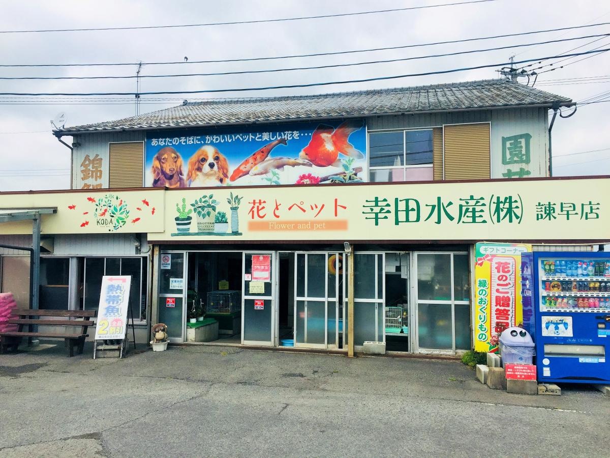 幸田水産の雰囲気ですよ。