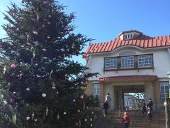 「田園調布駅」バス停留所