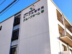 春