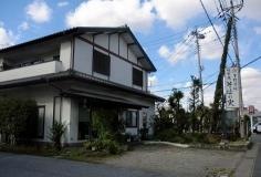 桃李庵　そばの実