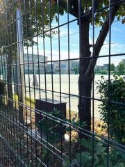 辻南小学校