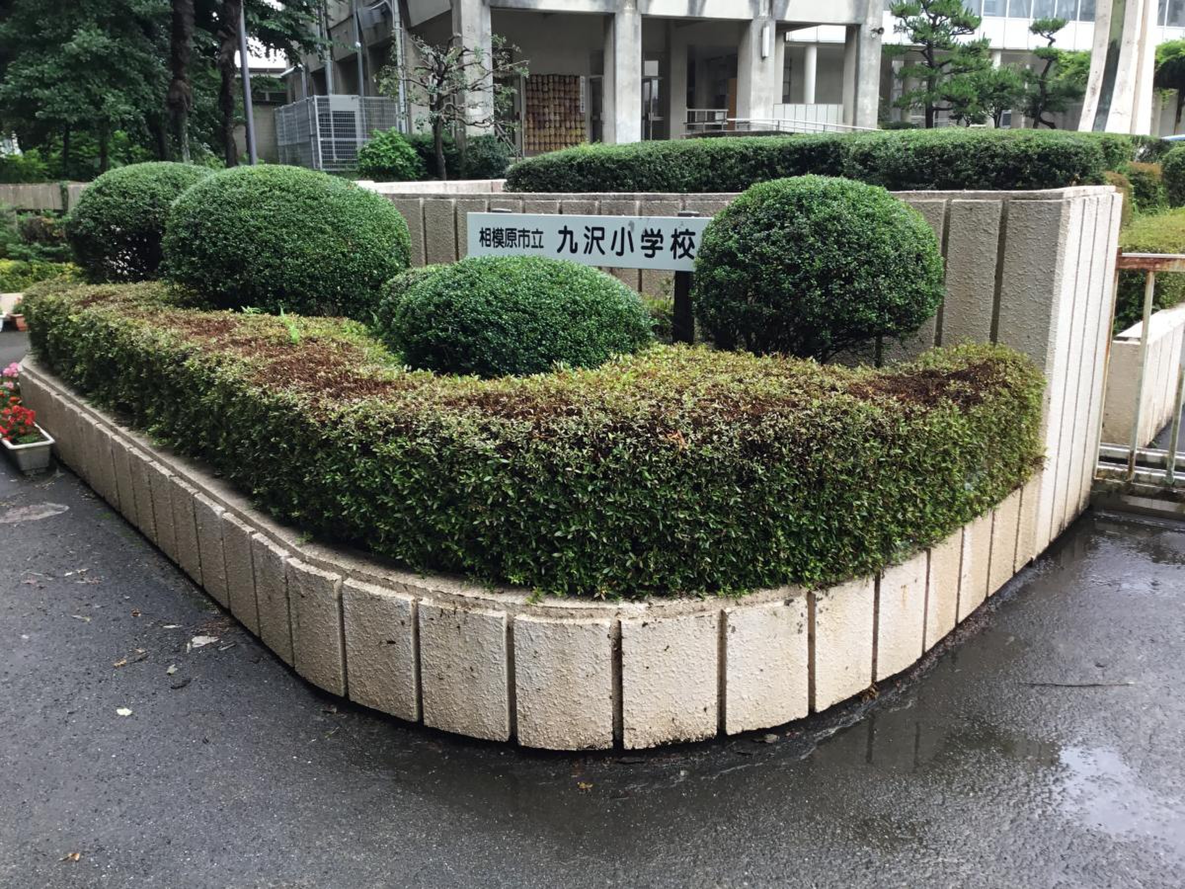相模原 市立 九 沢 小学校