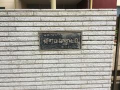 樽町白梅幼稚園