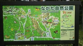 ながた自然公園
