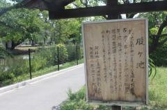 桃ケ池公園