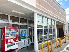 マルショク　来春店