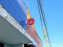 鳥金