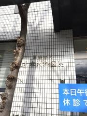 木本内科