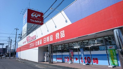 マーケットピア ドラッグストアウェルネス 米原店 米子市米原