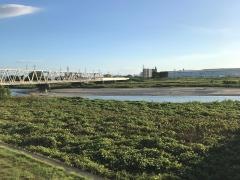 野洲川
