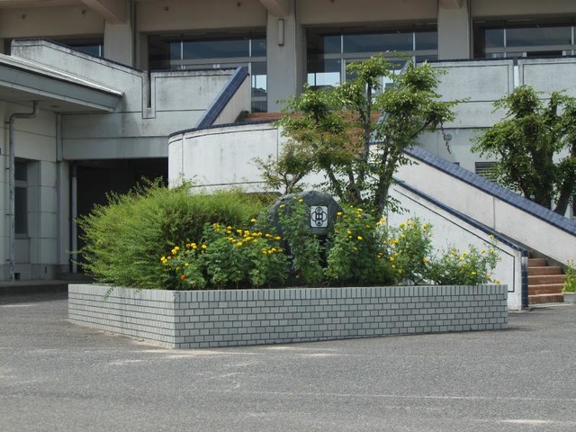 投稿写真1