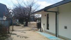 住吉西保育園