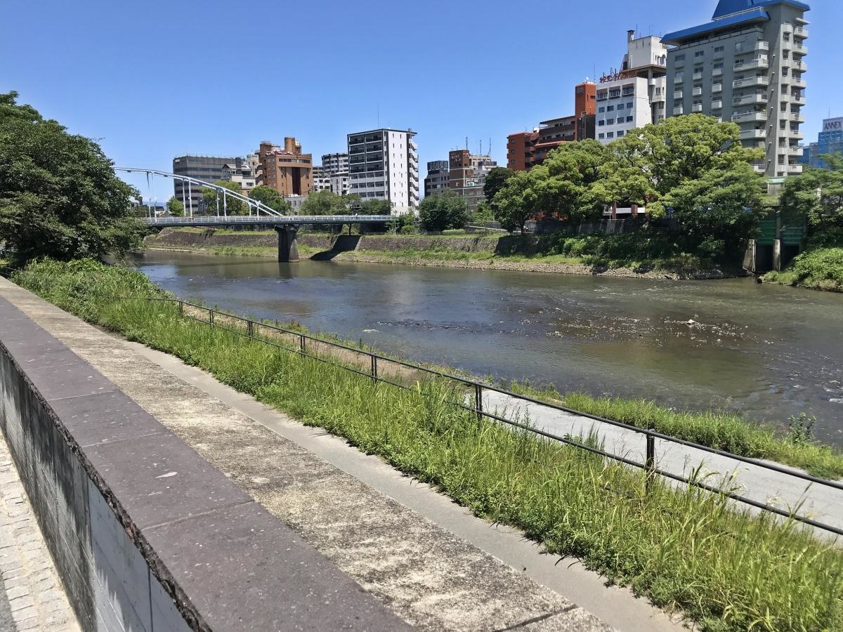 白川右岸緑地