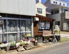 鳥よし