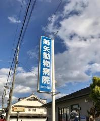 降矢動物病院