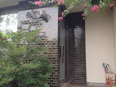 八幡利根川歯科