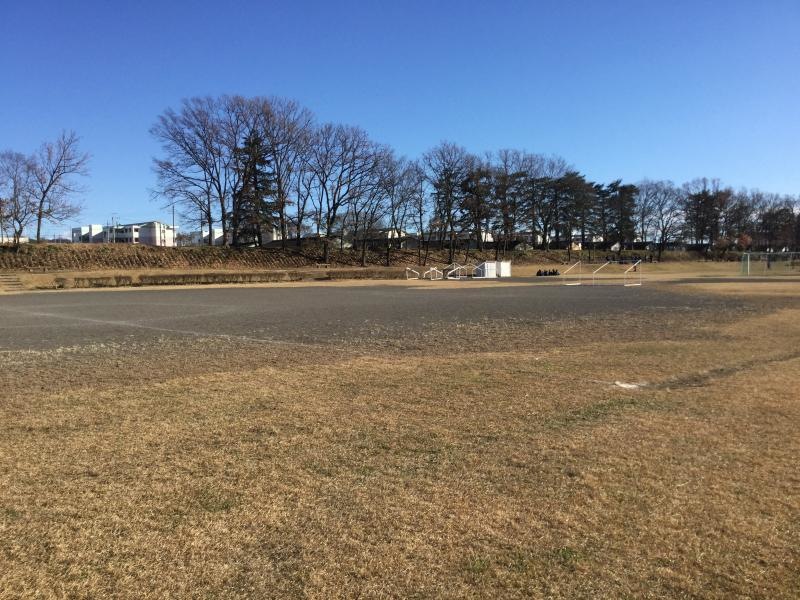 ゲートボール