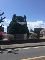 東つばき保育園