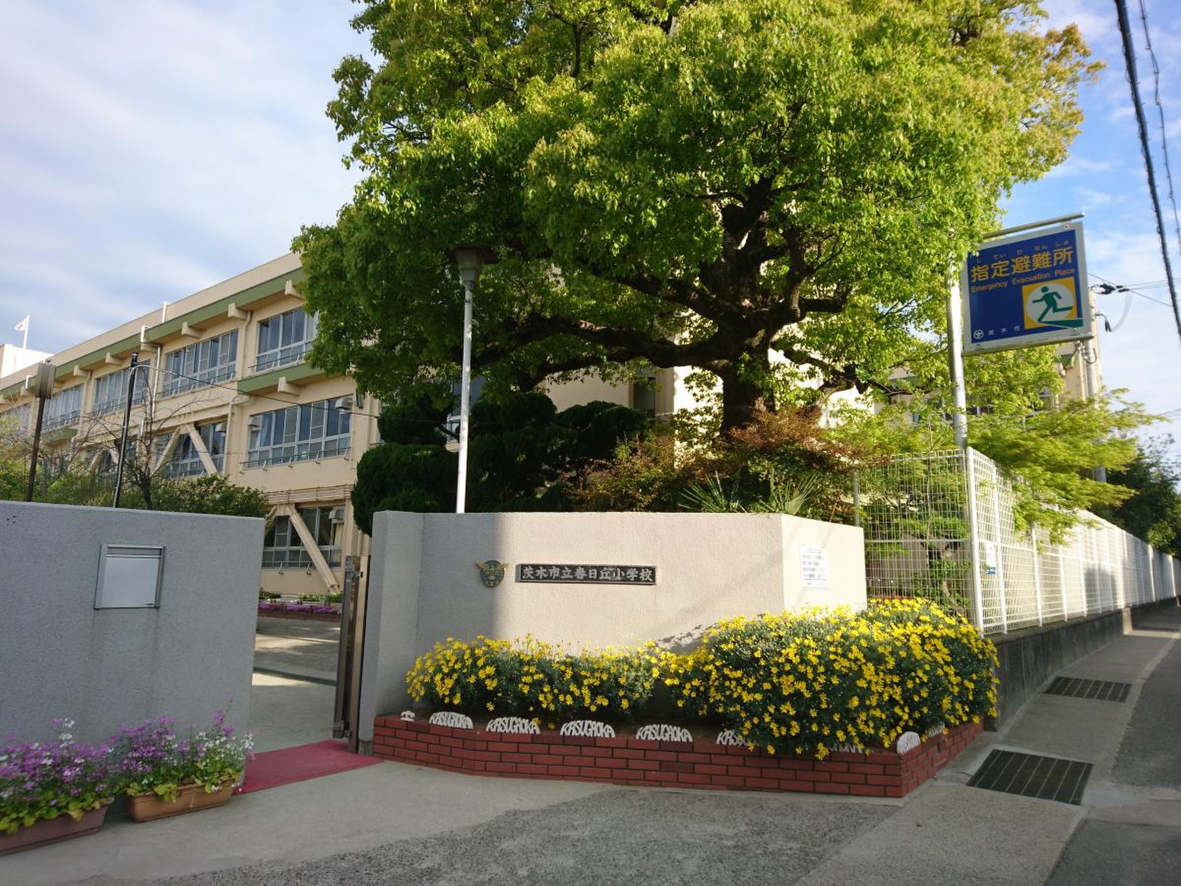 活動歴および当時の関連ビジュアル記録